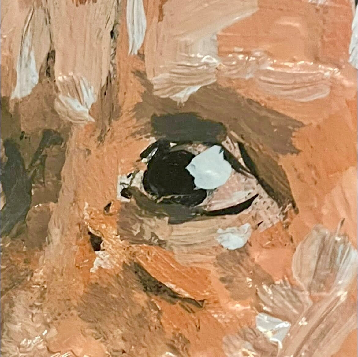 detail protrait Andy Ferg