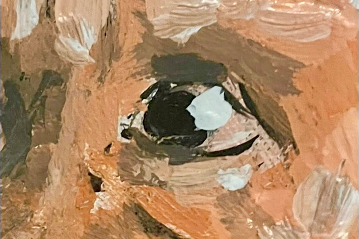 detail protrait Andy Ferg