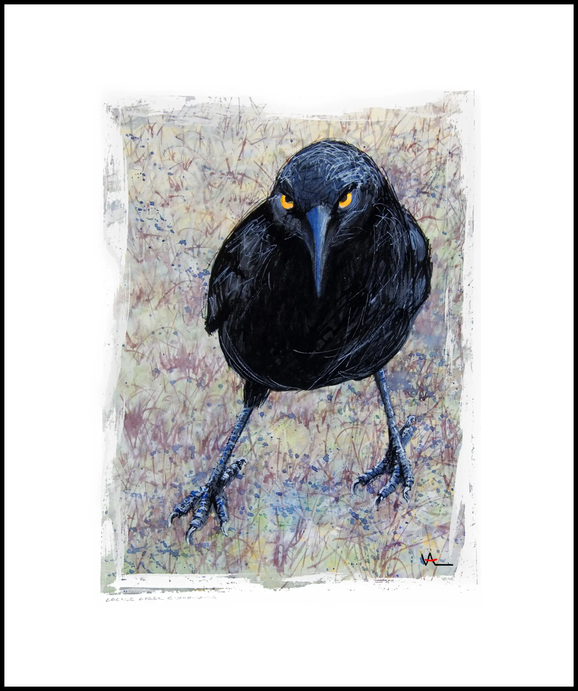 Val WIlkinson_Birds With Attitude-Cockle Creek Currowong