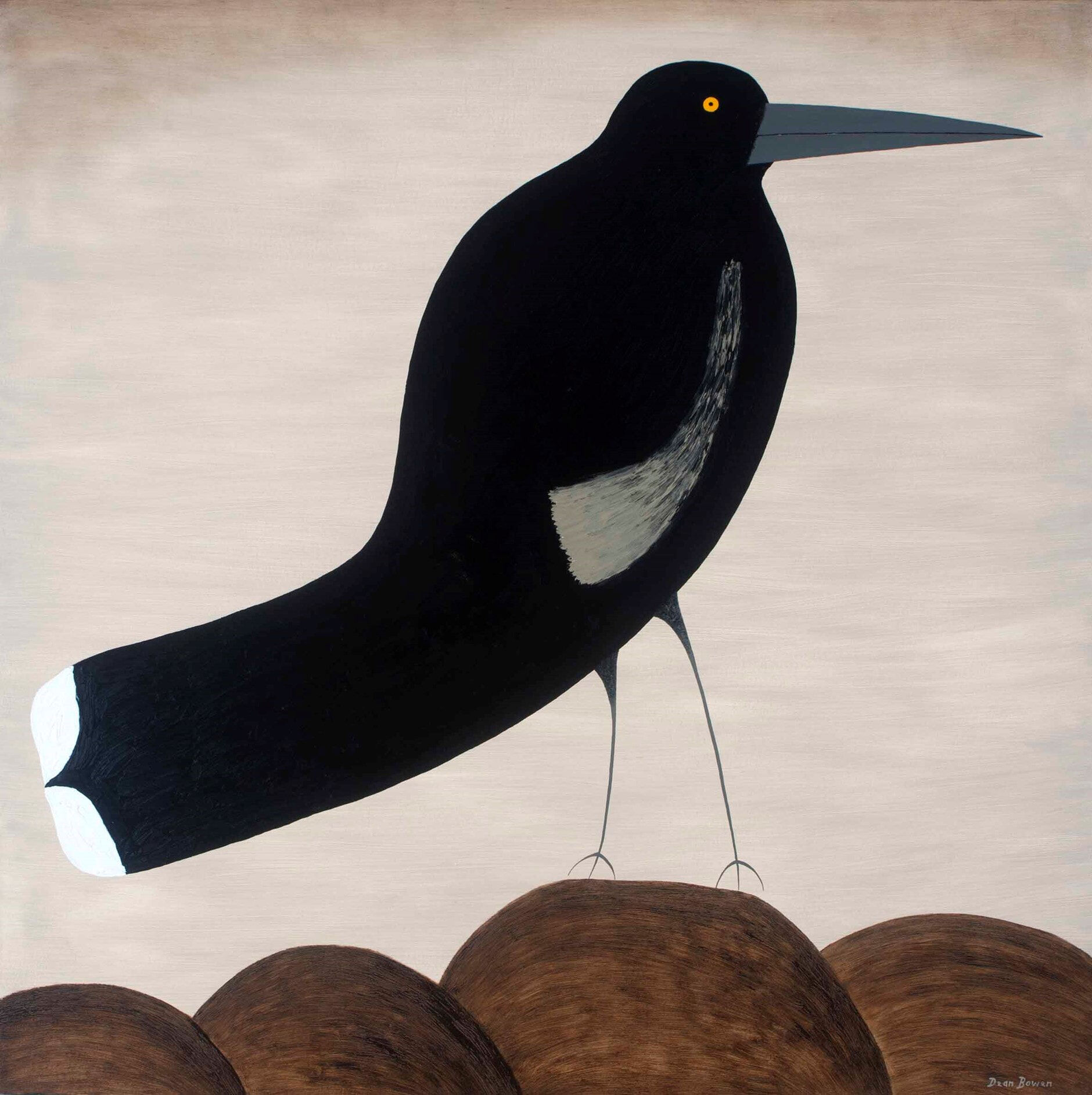 Dean Bowen painting of a Currawong with Curved Tail 2016 oil on board