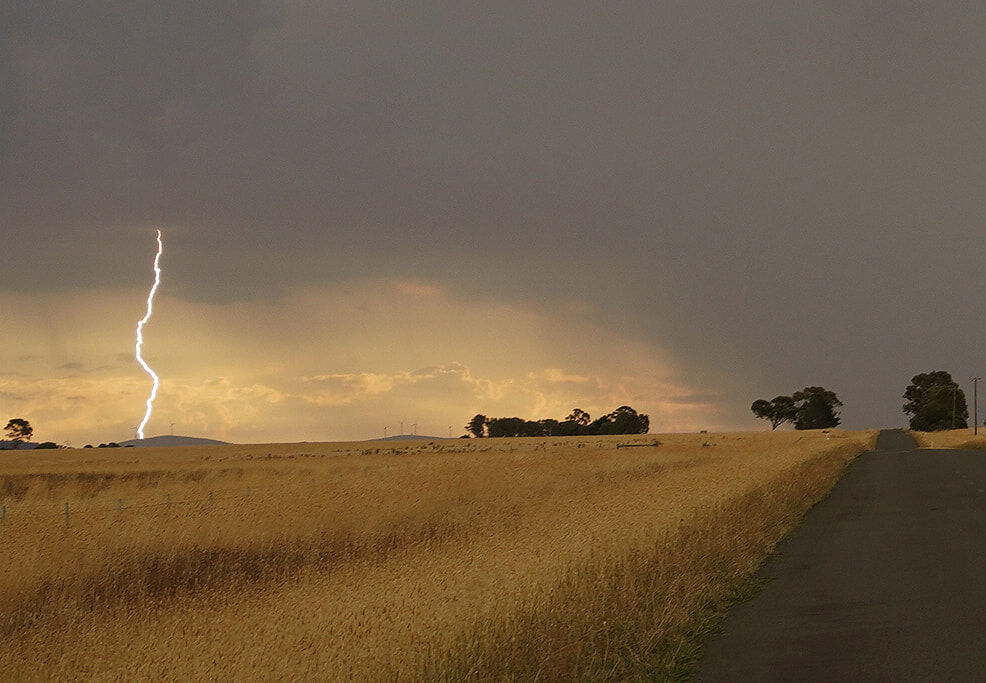 Catching the Moment _DSC00128.AAjpg copy 2